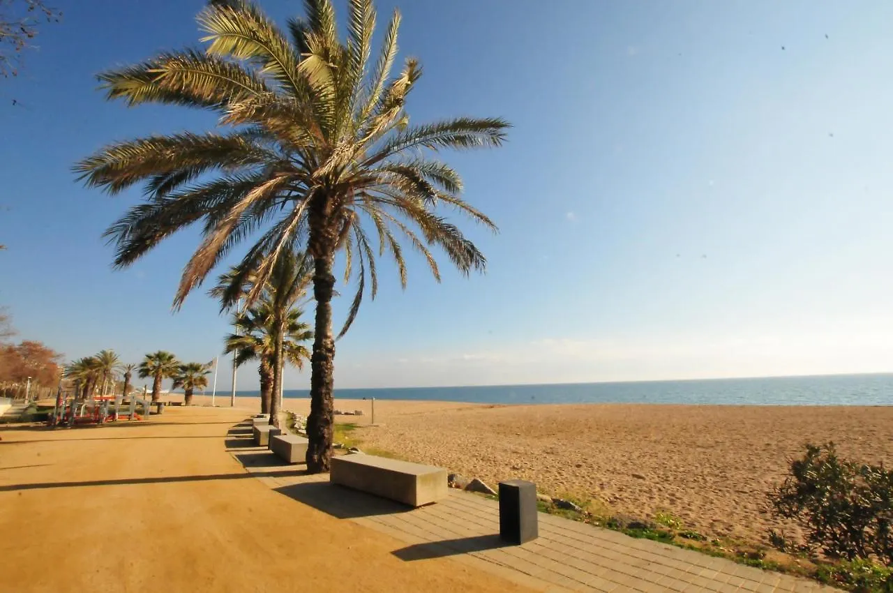 Apartment Homeholidaysrentals Ilusion Calella Spain